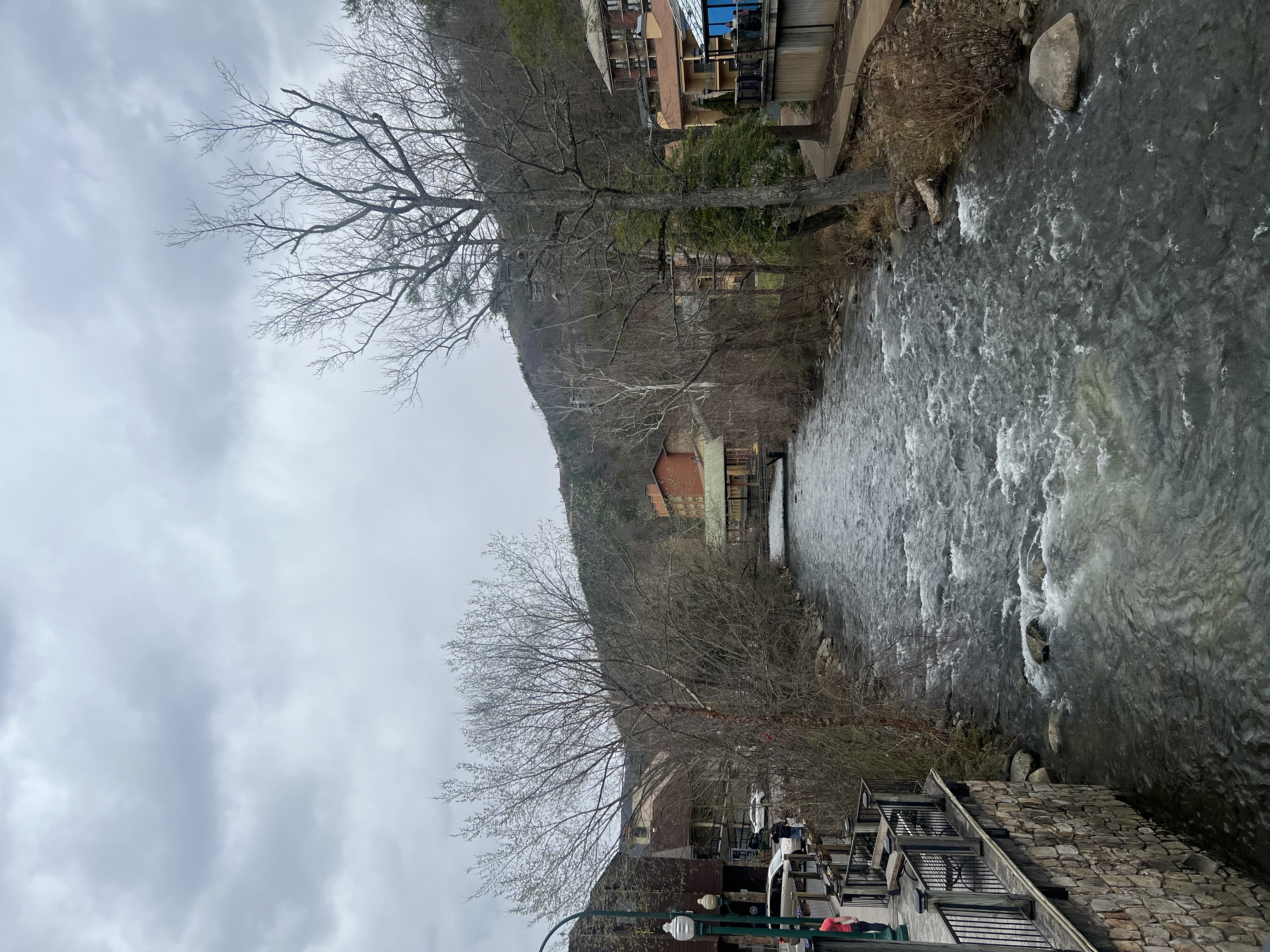 photo of river